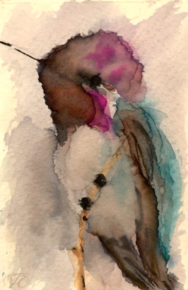 Water color painting of a hummingbird by Kelly Cleveland