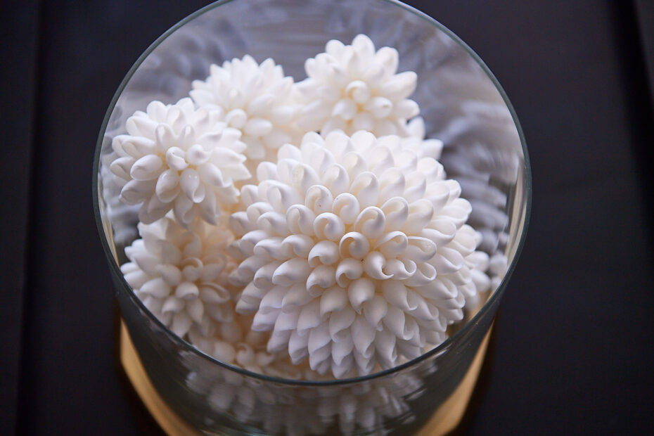 white prickly balls in a vase